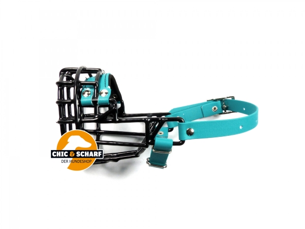 CHOPO schwarz American Cocker Hündin Biothane grün