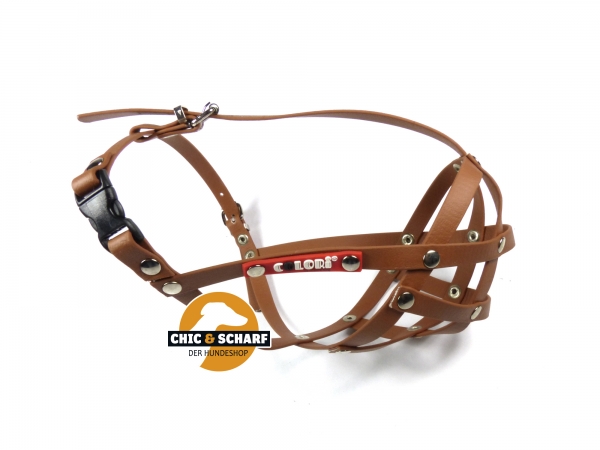 Colori Französische Bulldogge 1 Hellbraun