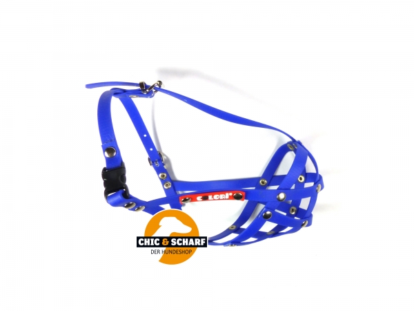 Colori Französische Bulldogge 2 Blau