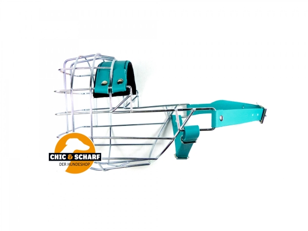 CHOPO Boxer Hündin Biothane grün