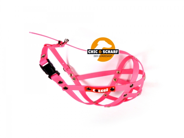 Colori Französische Bulldogge 3 Pink