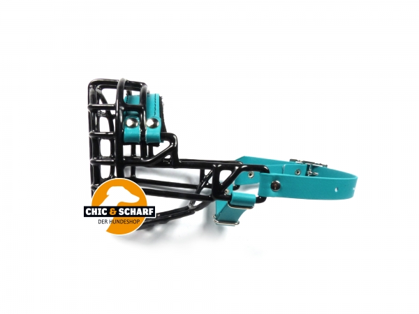CHOPO schwarz American Cocker Rüde Biothane grün