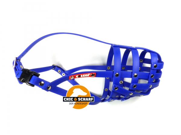 Colori Dobermann 1 Blau
