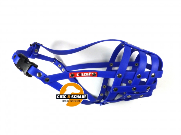 Colori Pitbull Terrier 1 Blau