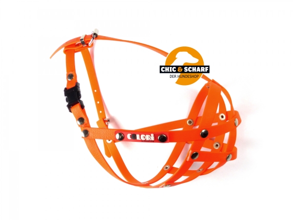 Colori Französische Bulldogge 1 Orange