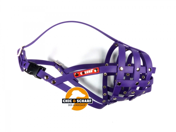 Colori Pitbull Terrier 1 Lila