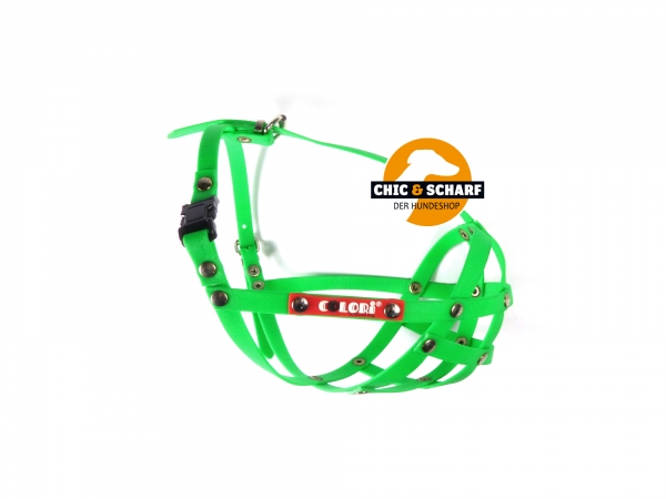 Colori Französische Bulldogge 1 Grün