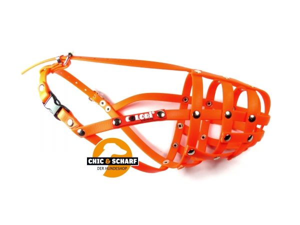 Colori Dackel 2 Orange