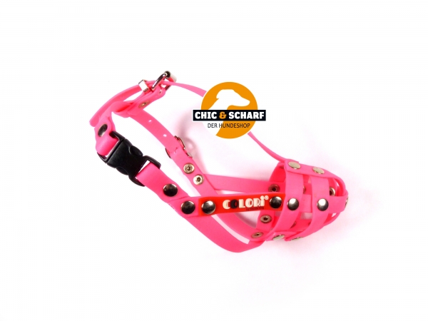 Colori Chihuahua 2 Pink